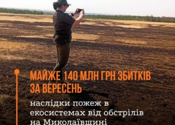 Майже 140 млн грн збитків за вересень – наслідки пожеж в екосистемах від обстрілів на Миколаївщині