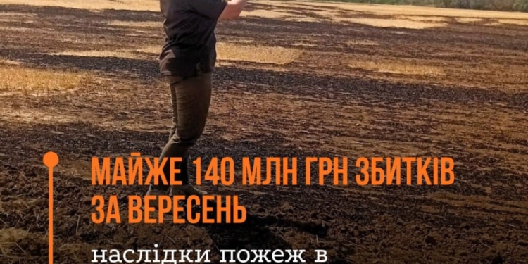 Майже 140 млн грн збитків за вересень – наслідки пожеж в екосистемах від обстрілів на Миколаївщині