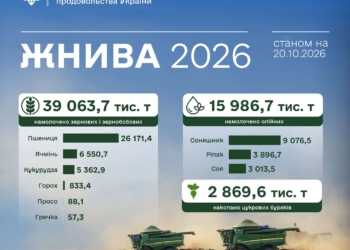 Врожай-2026: зібрано понад 39 млн тонн зернових і майже 16 млн тонн олійних культур, Миколаївщина – серед лідерів