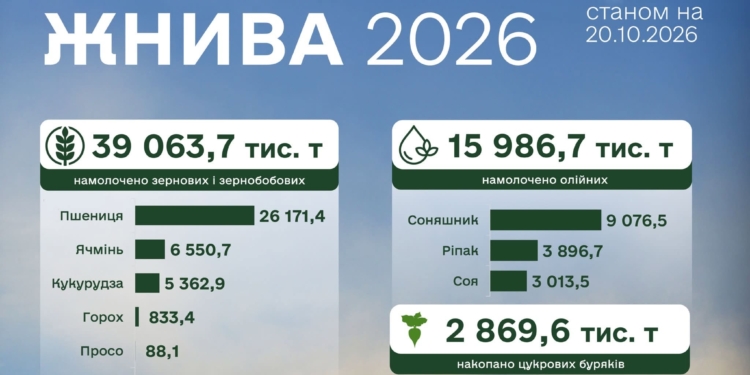Врожай-2026: зібрано понад 39 млн тонн зернових і майже 16 млн тонн олійних культур, Миколаївщина – серед лідерів
