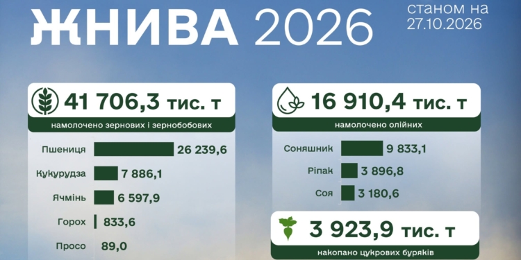 Аграрії намолотили понад 41,7 млн тонн зернових і 16,9 млн тонн олійних культур, Миколаївщина в трійці лідерів за площею під зерновими