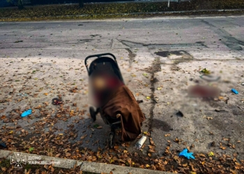 Ворог ударив по парку з людьми на Харківщині – загинули дві жінки і немовля, багато поранених (ФОТО)